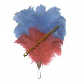 Palm/Feather
